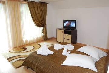 Фото номера Люкс с джакузи Отель Hotel Brancoveanu г. Моечу-де-Жос 12